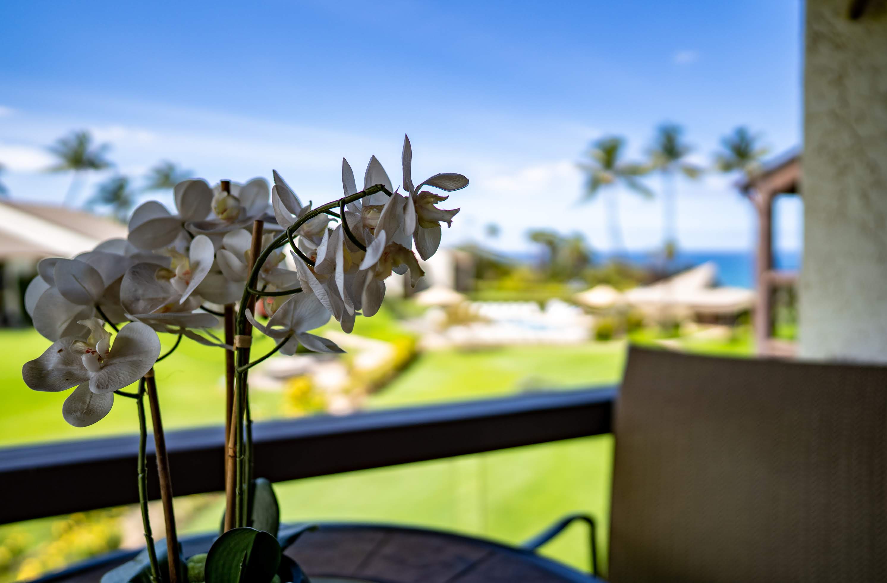 Wailea Condo 978204