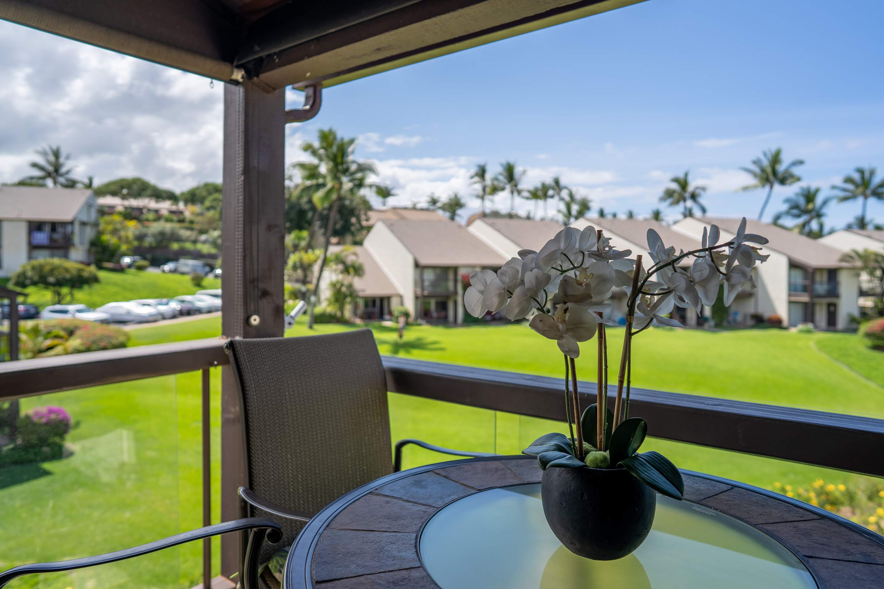 Wailea Condo 978204