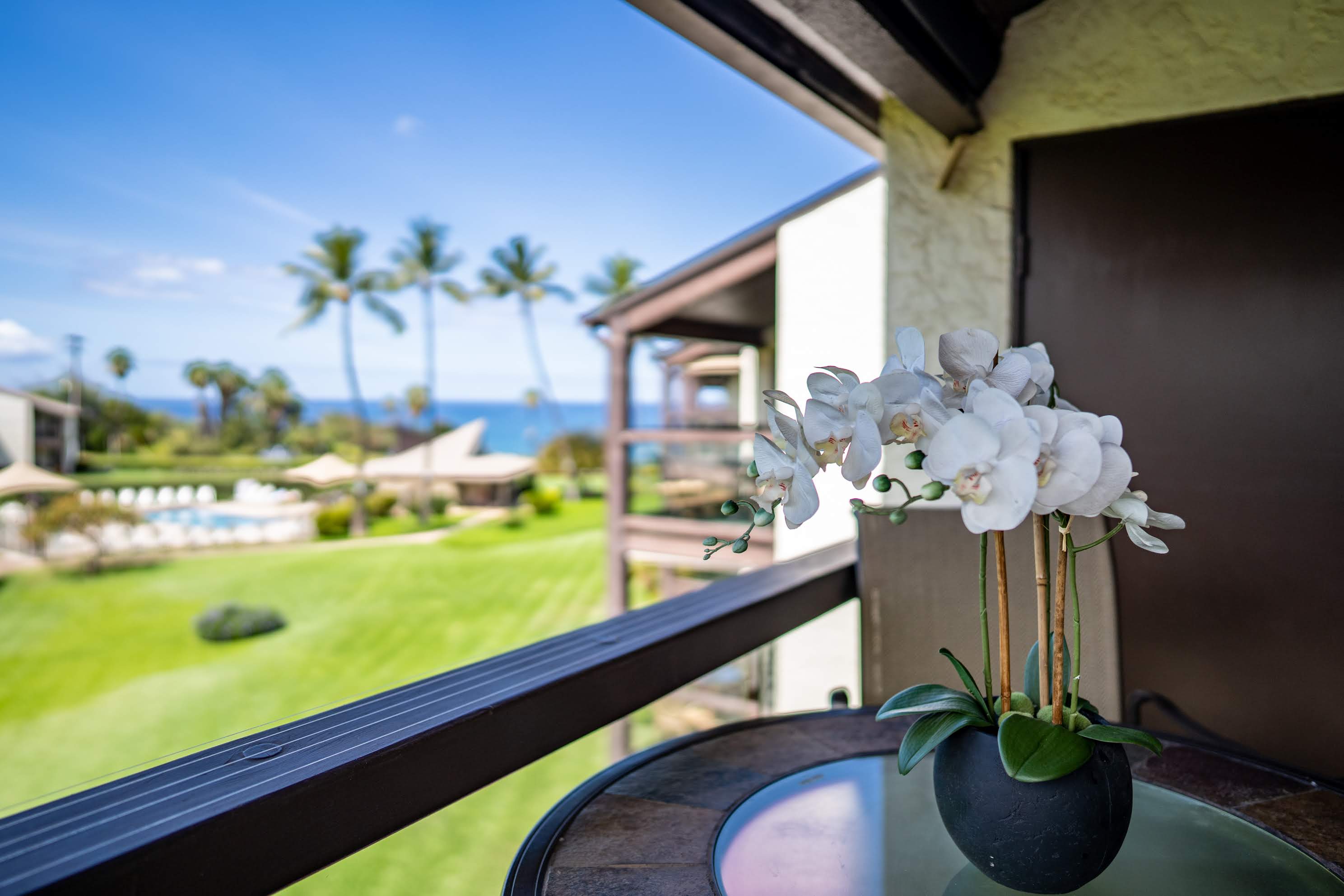 Wailea Condo 978204