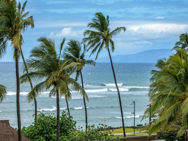 Kihei Condo 978208