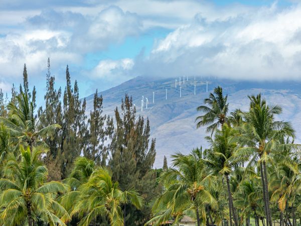 Kihei Condo 978208