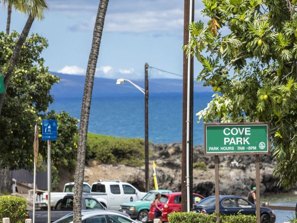 Kihei Condo 978208