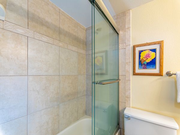 Wailea Condo 978211