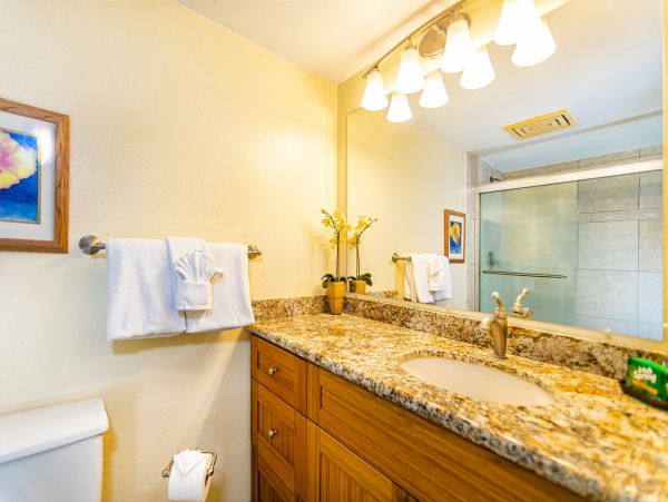 Wailea Condo 978211
