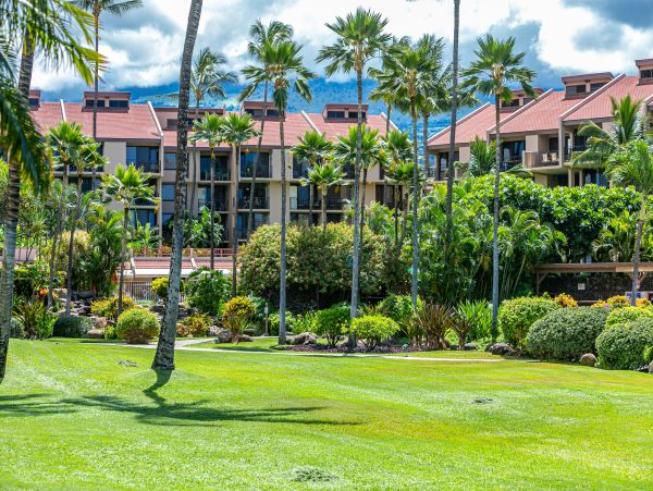 Wailea Condo 978211