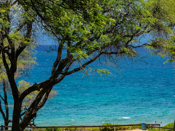 Wailea Condo 978211