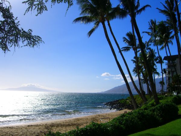 Wailea Condo 978212