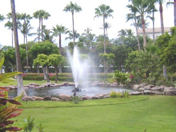 Wailea Condo 978212