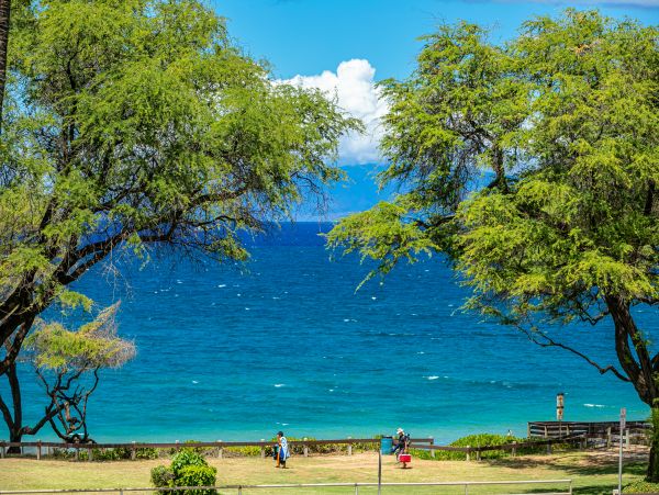 Wailea Condo 978213
