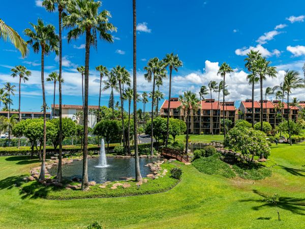 Wailea Condo 978213