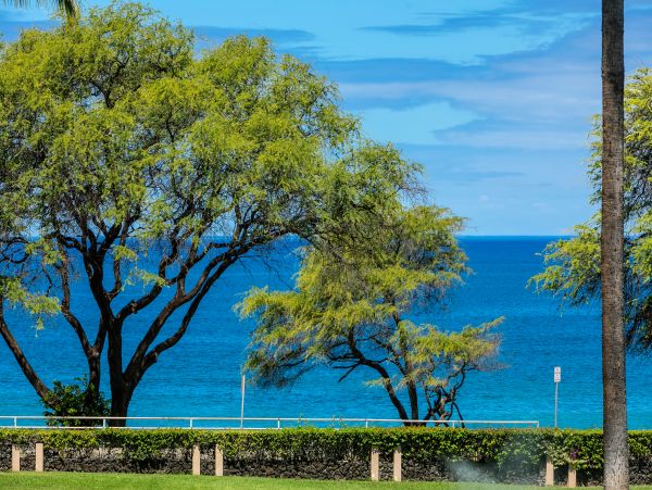 Wailea Condo 978214