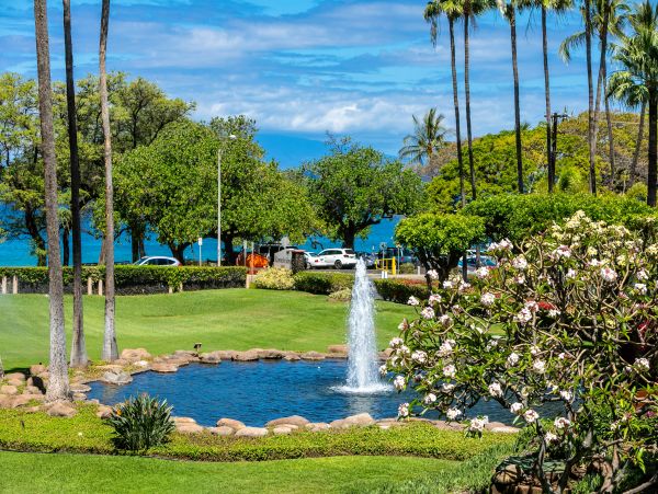 Wailea Condo 978214