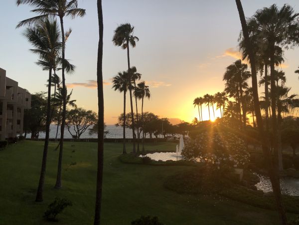 Wailea Condo 978214