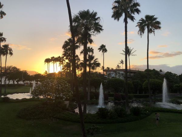 Wailea Condo 978214