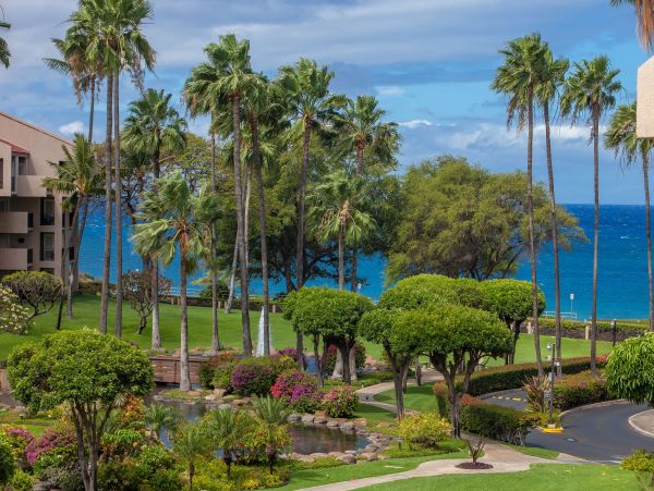 Wailea Condo 978216