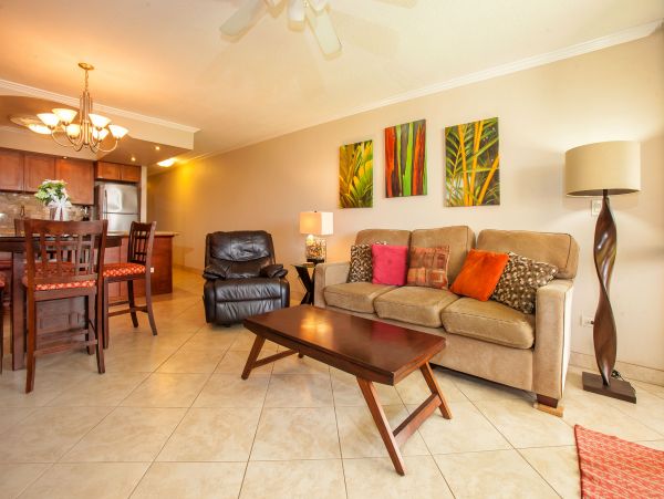 Wailea Condo 978216