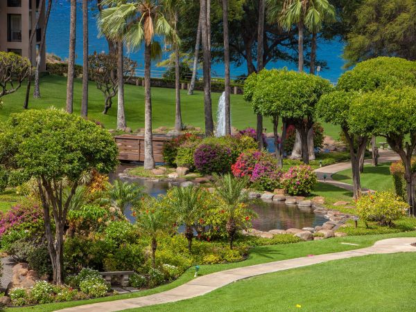 Wailea Condo 978216