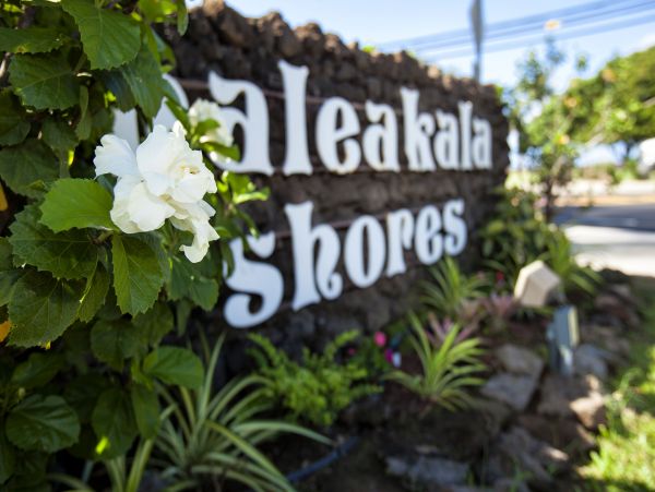 Kihei Condo 978218
