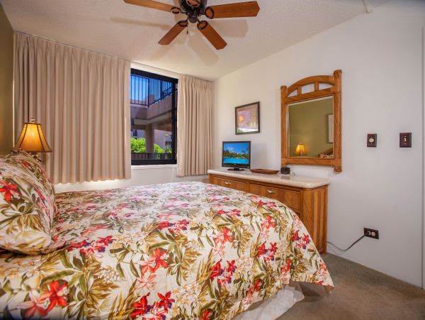 Wailea Condo 978220