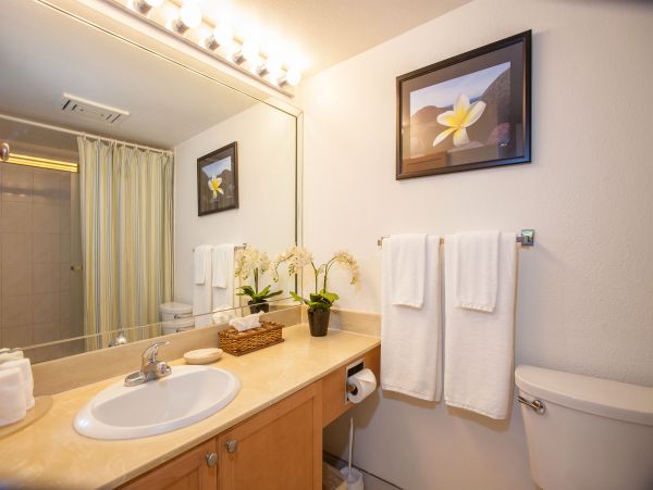 Wailea Condo 978220