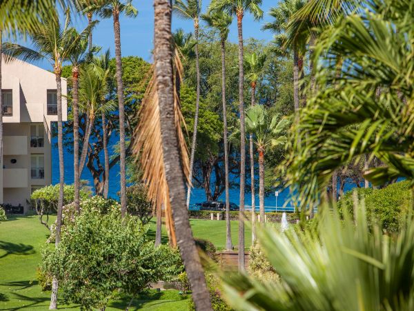 Wailea Condo 978220