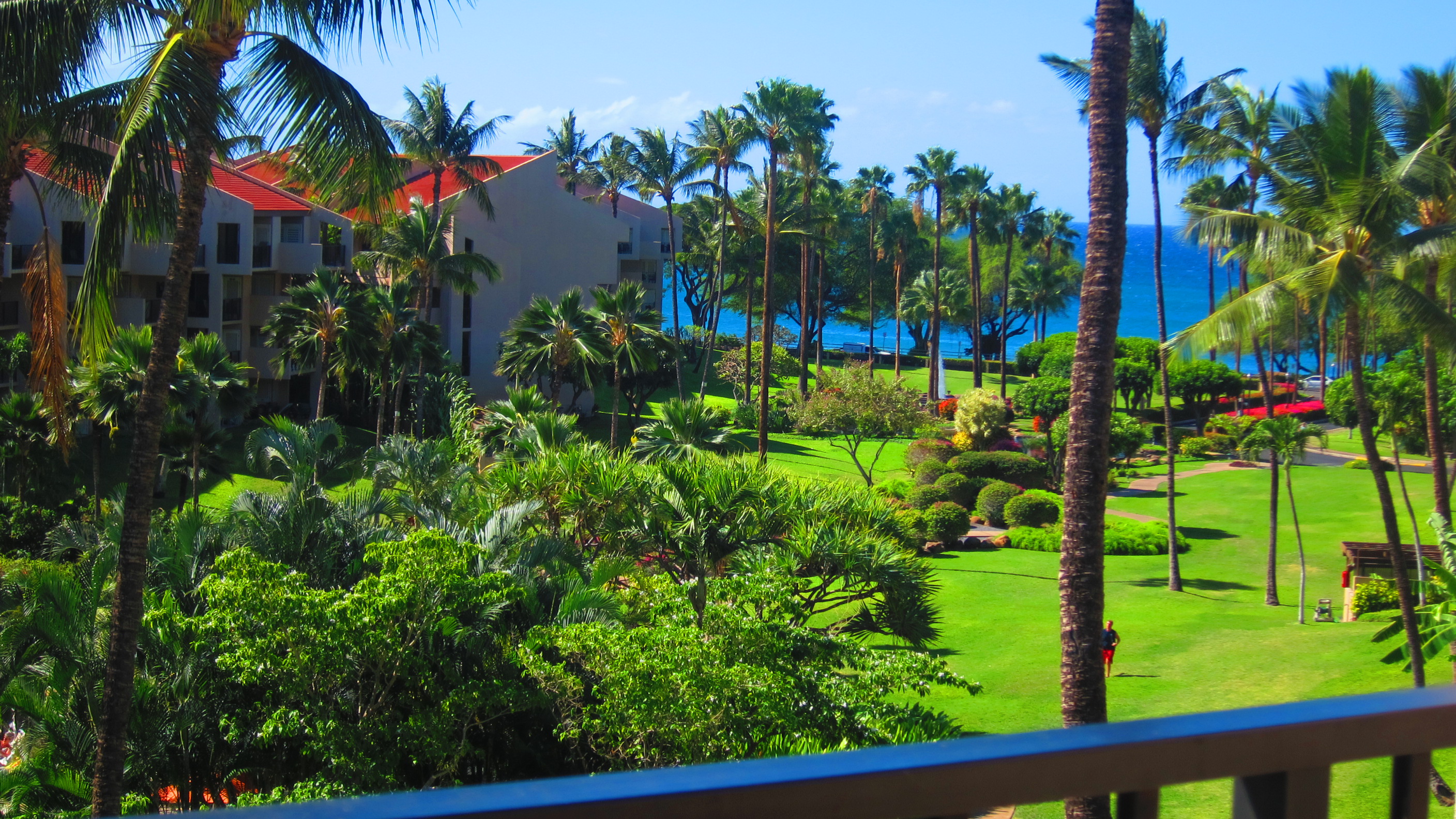Wailea Condo 978221