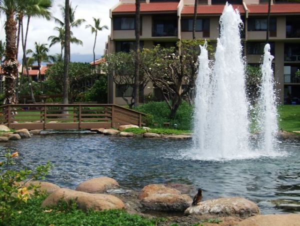 Wailea Condo 978221