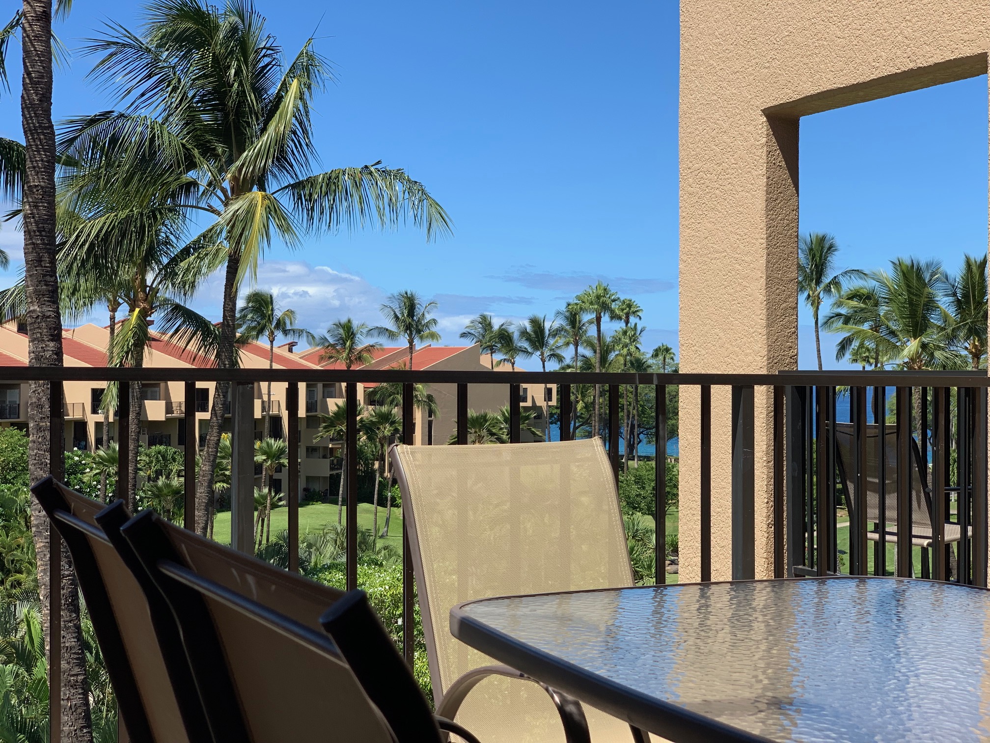 Wailea Condo 978221