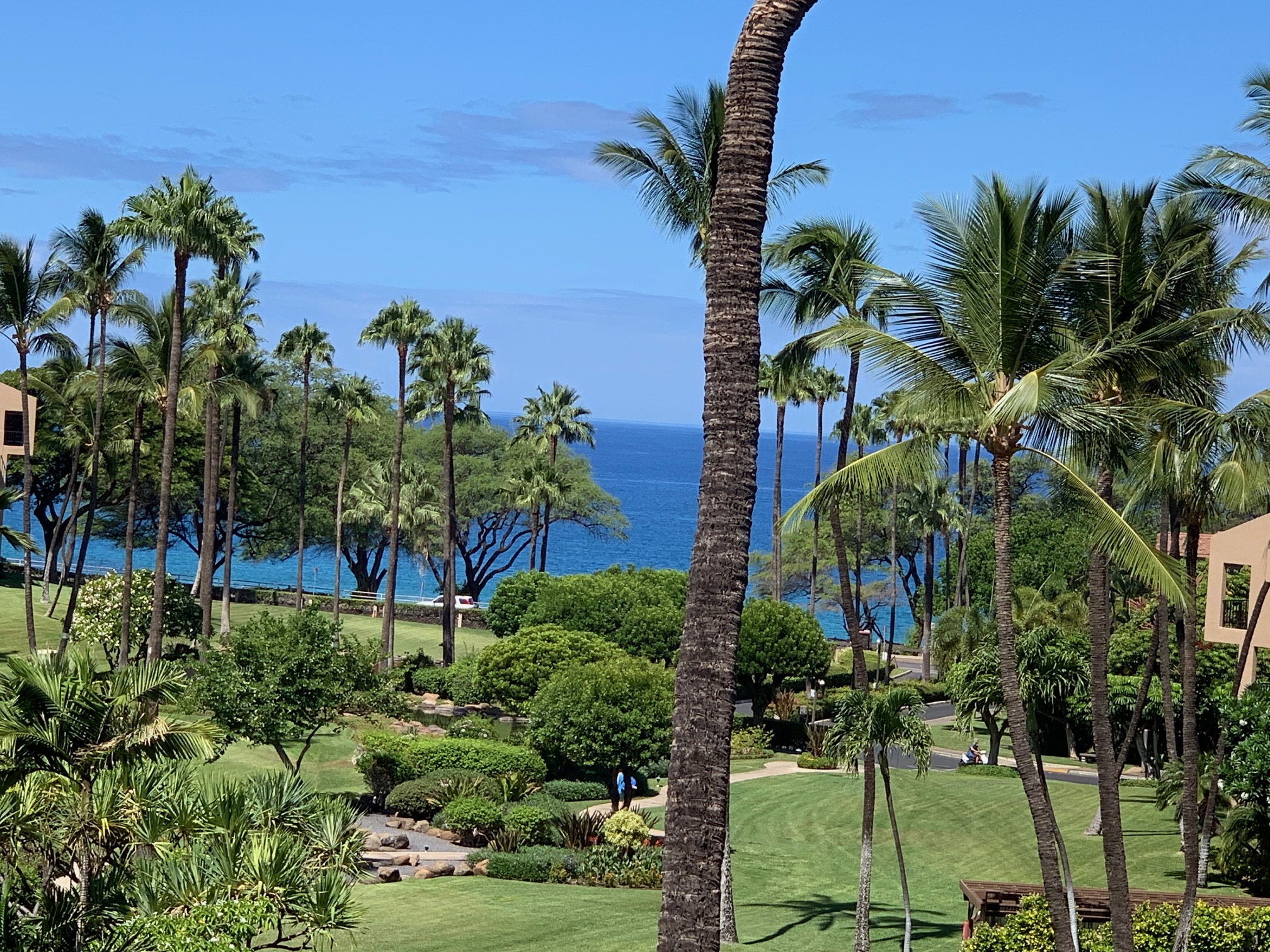 Wailea Condo 978221