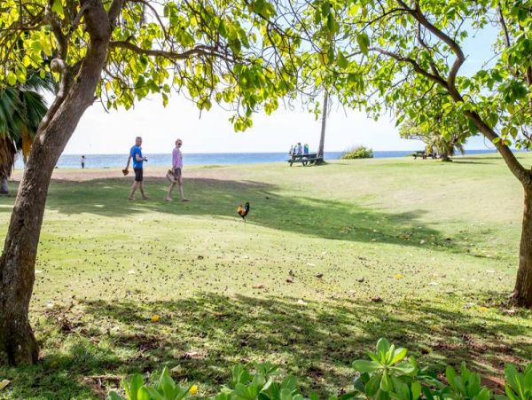 Koloapoipu Condo 978244