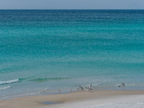 Santa Rosa Vacation Home Four Bedrooms Short Walk To Beach