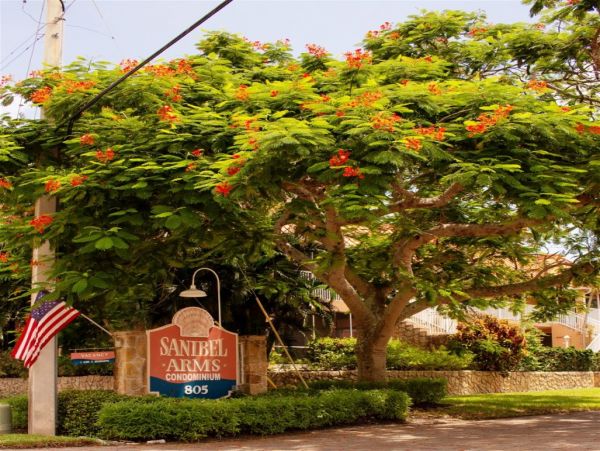 Sanibel Condo 978371