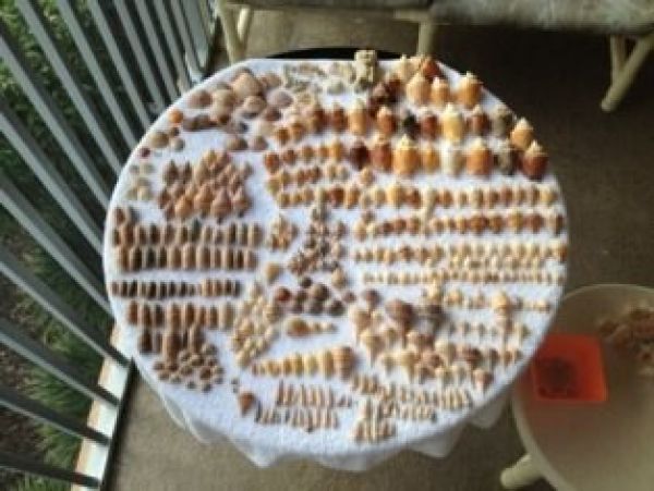 Sanibel Condo 978392