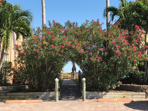 Sanibel Condo 978406