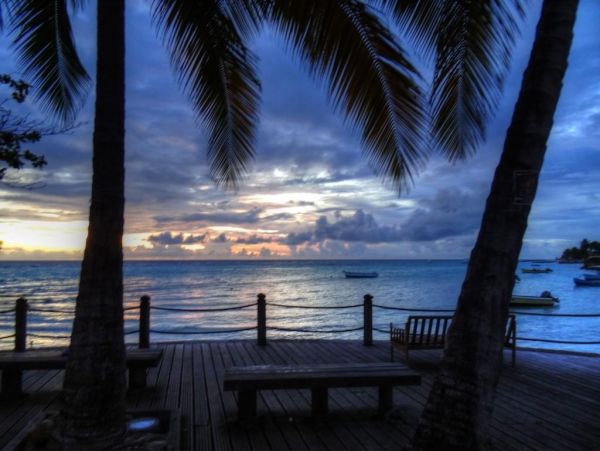 Barbados Condo 978413