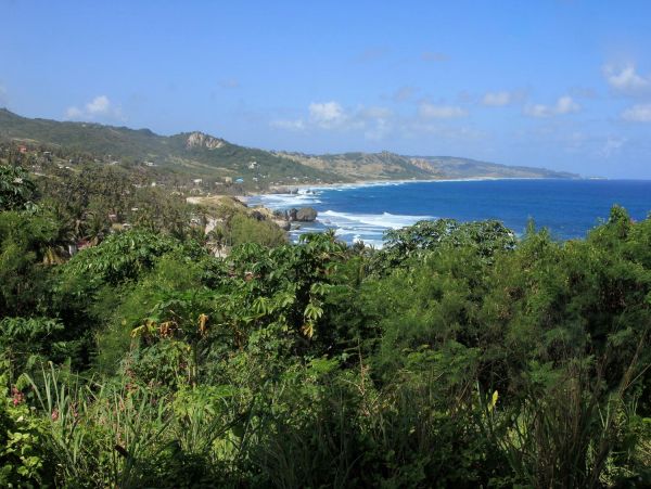 Barbados Condo 978413