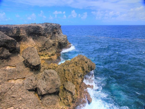 Barbados Condo 978413