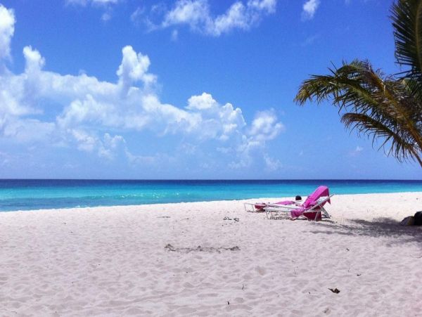 Barbados Condo 978414