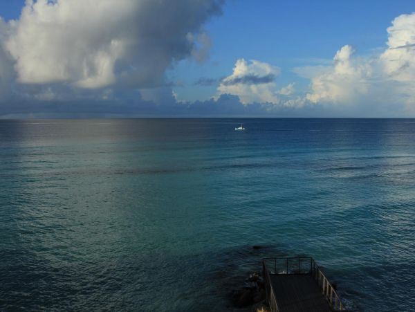Barbados Condo 978416
