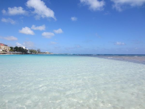 Barbados Condo 978417