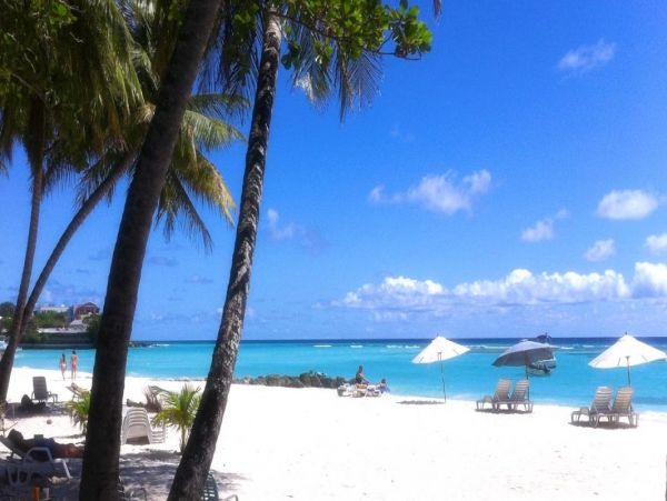 Barbados Condo 978417