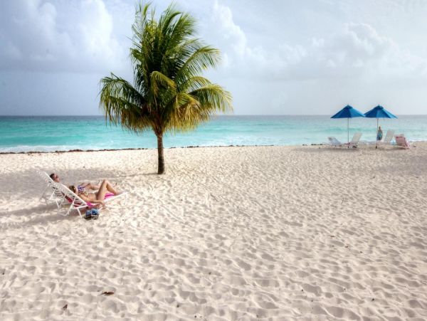 Barbados Condo 978417