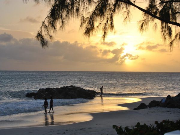 Barbados Condo 978418
