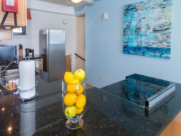 Barbados Condo 978421
