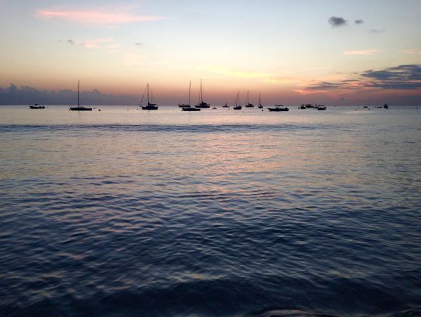 Barbados Condo 978422