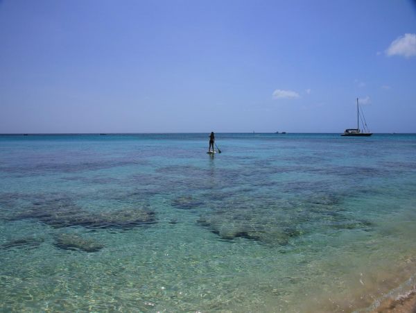 Barbados Condo 978422