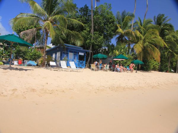 Barbados Condo 978422