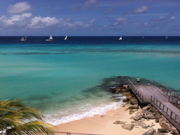 Barbados Condo 978422