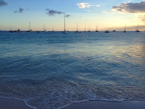 Barbados Condo 978423