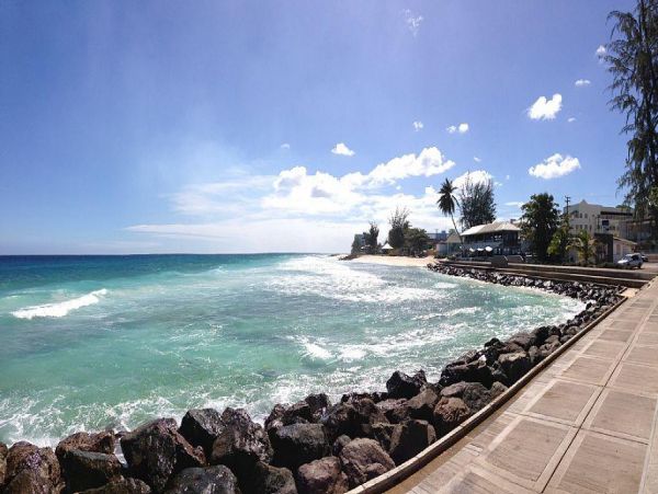 Barbados Condo 978424